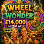Spinning Wheel - Game Testing